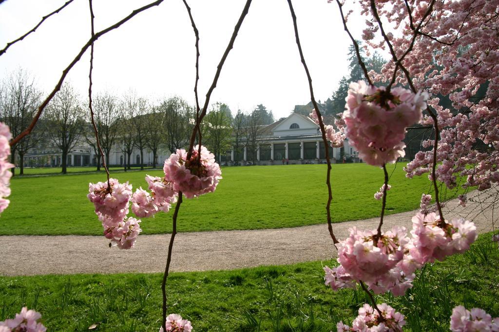 Apparthaus Pfeifer Baden-Baden Extérieur photo
